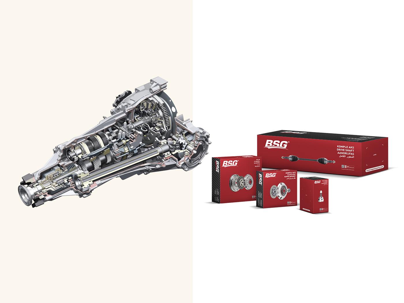 <span class="text-primary">Aktarma</span> Organları